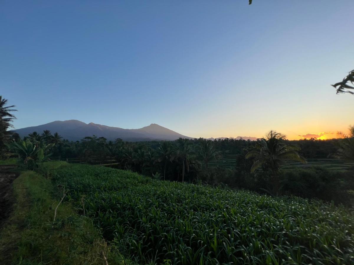 Tetebatu Sunrise Homestay Dış mekan fotoğraf