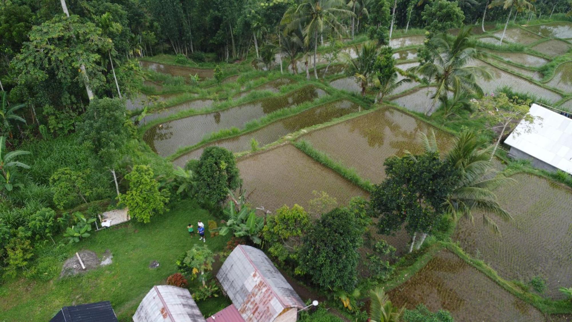 Tetebatu Sunrise Homestay Dış mekan fotoğraf
