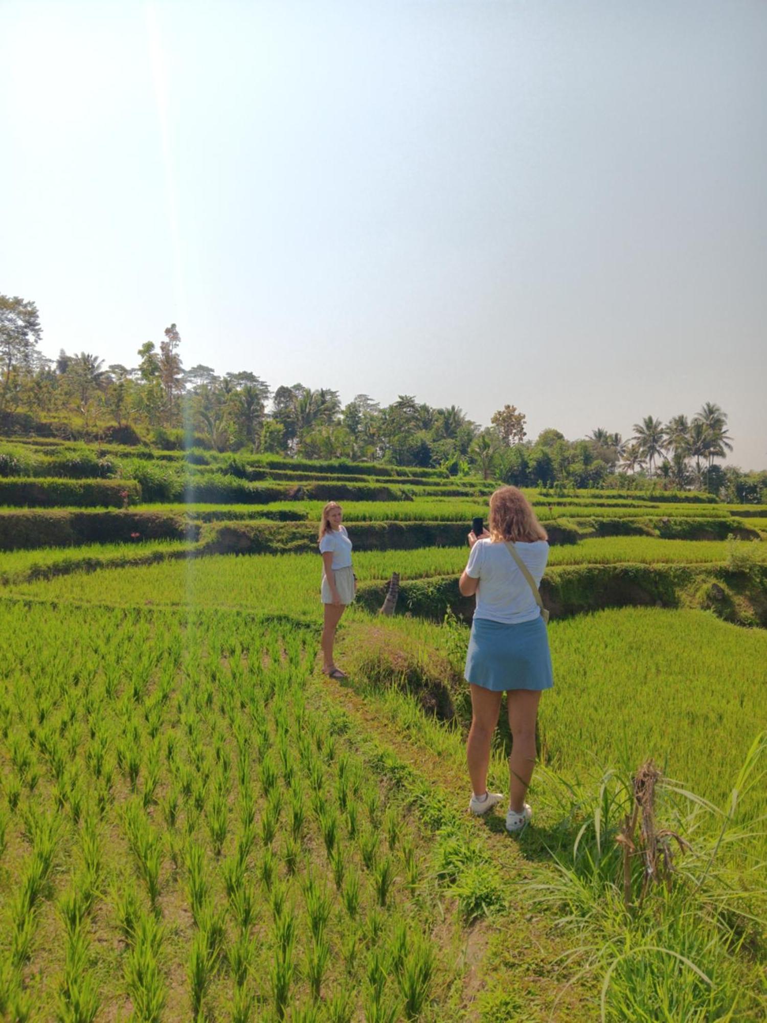 Tetebatu Sunrise Homestay Dış mekan fotoğraf