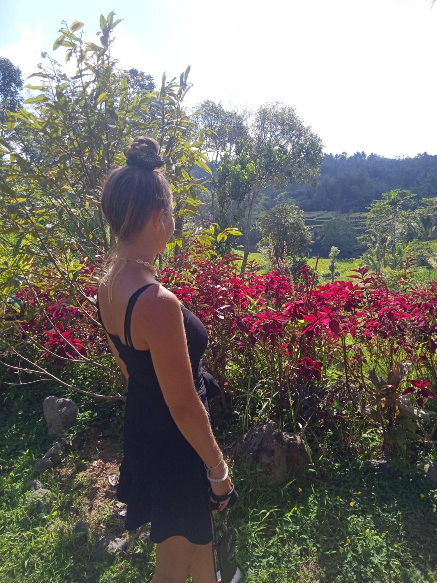 Tetebatu Sunrise Homestay Dış mekan fotoğraf