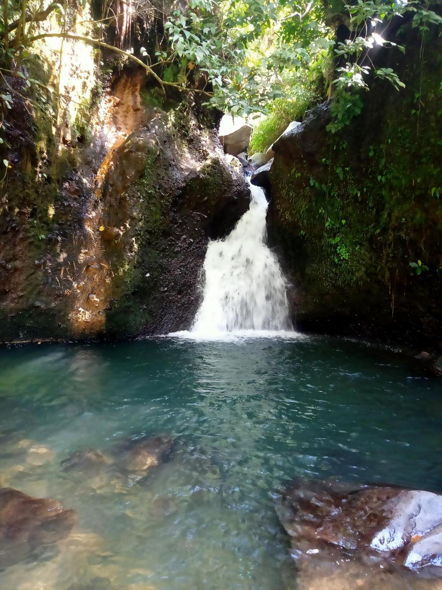 Tetebatu Sunrise Homestay Dış mekan fotoğraf