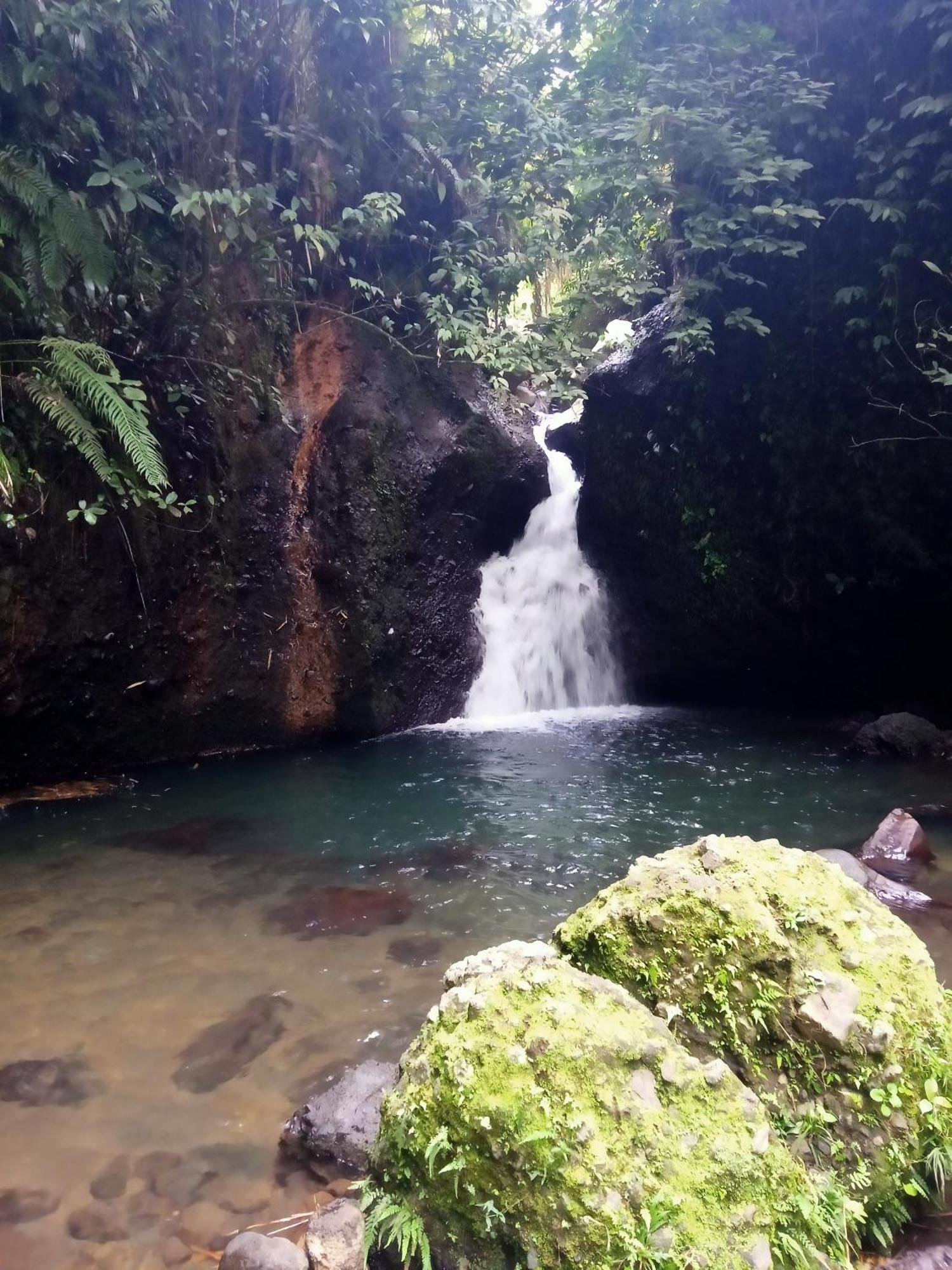 Tetebatu Sunrise Homestay Dış mekan fotoğraf